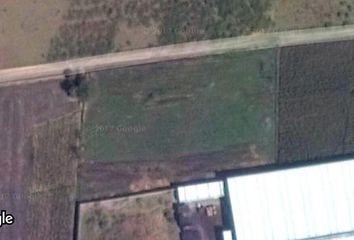 Lote de Terreno en  Arboledas, Morelos