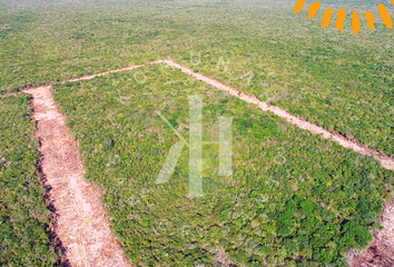 Lote de Terreno en  Telchac Puerto-san Crisanto, San Crisanto, Sinanché, Yucatán, 97424, Mex