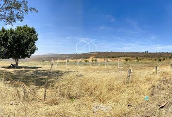 Lote de Terreno en  Escuela Federico Froebel, Calle Universidad De Guadalajara, Matatlán, Zapotlanejo, Jalisco, 45435, Mex