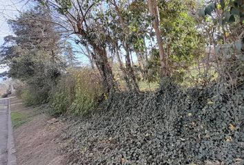 Terrenos en  Cumbres Del Golf, Villa Allende