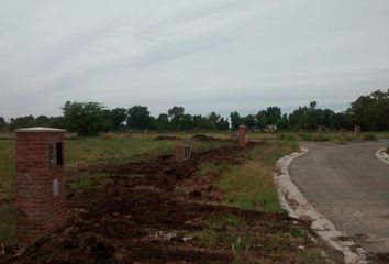 Terrenos en  Los Jazmines, Partido Del Pilar