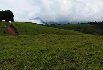 Lote de Terreno en  Ruta Nacional 40, Restrepo, Valle Del Cauca, Col