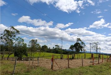 Lote de Terreno en  Cajibío, Cauca