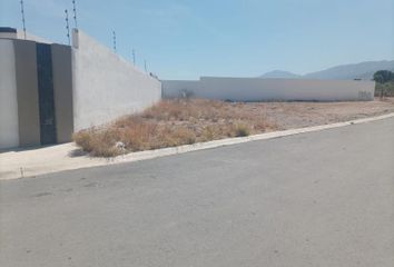 Lote de Terreno en  Centro Metropolitano, Saltillo, Coahuila