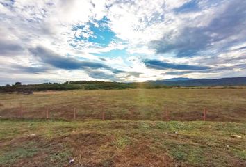 Lote de Terreno en  Cl. 8 #4-48, Palermo, Huila, Colombia