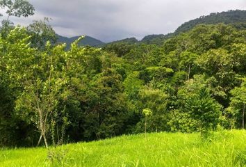 Terreno Comercial en  Manglaralto, Santa Elena