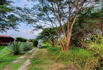 Lote de Terreno en  Calle Hidalgo, Villa De Álvarez, Colima, Mex