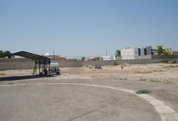 Lote de Terreno en  Villas Las Margaritas, Torreón