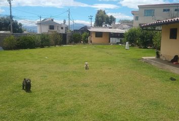 Terreno Comercial en  Princesa Toa 33, Quito, Ecuador