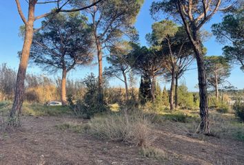 Terreno en  Palafolls, Barcelona Provincia