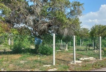 Lote de Terreno en  Celestún, Yucatán