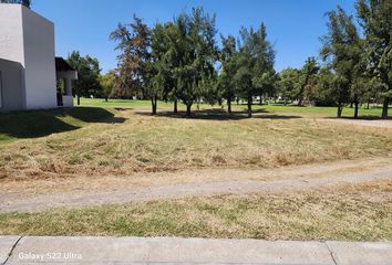 Lote de Terreno en  Calle Ámsterdam, Celaya, Guanajuato, 38113, Mex