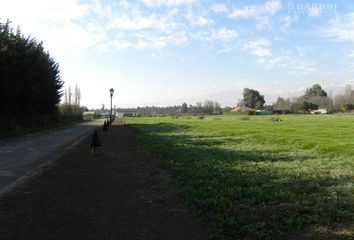 Parcela en  Colina, Chacabuco