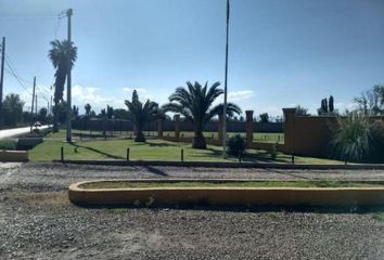 Terrenos en  Los Corralitos, Mendoza