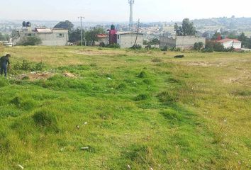 Lote de Terreno en  Almoloya De Juárez Centro, Almoloya De Juárez