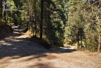 Lote de Terreno en  Mineral Del Chico, Hidalgo