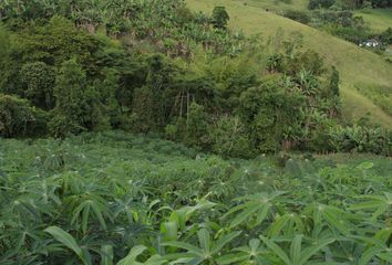 Villa-Quinta en  40, Yotoco, Valle Del Cauca, Col