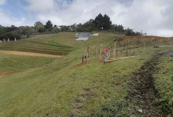 Lote de Terreno en  Cl. 10a, Santa Elena, Medellín, Antioquia, Colombia