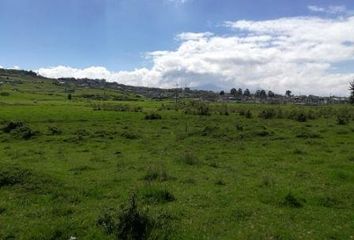 Terreno Comercial en  Camilo Orejuela, Quito 170140, Ecuador