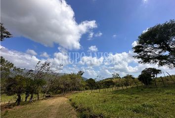 Finca/Hacienda en  Alto El Maria, Chame