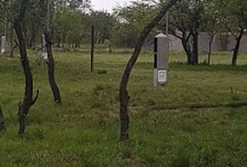 Terrenos en  Pilar, Córdoba