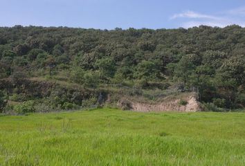 Lote de Terreno en  San Juan De Ocotán, Zapopan, Jalisco