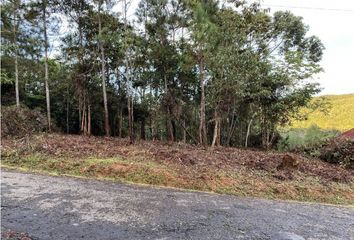 Lotes y Terrenos en  Utivé, Ciudad De Panamá