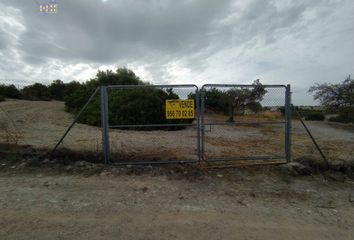 Terreno en  Arcos De La Frontera, Cádiz Provincia