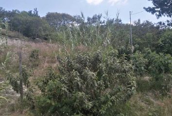 Lote de Terreno en  Calle 5 De Mayo, Ejido Guadalupe Victoria, Oaxaca, 68280, Mex