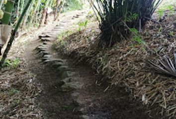 Lote de Terreno en  Garzón, Huila