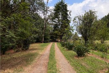 Lote de Terreno en  Avándaro, Valle De Bravo