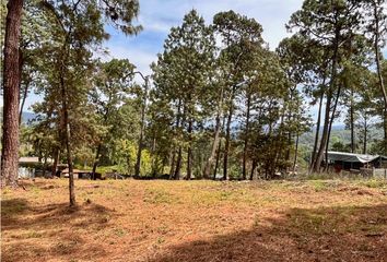 Lote de Terreno en  Avándaro, Valle De Bravo