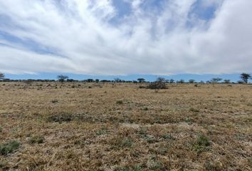 Lote de Terreno en  San José De Gracia, Aguascalientes, Mex