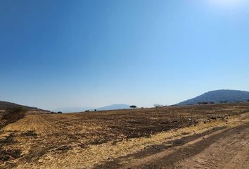 Lote de Terreno en  Tlajomulco Centro, Tlajomulco De Zúñiga