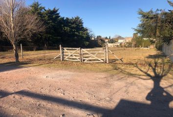 Terrenos en  Manuel B Gonnet, Partido De La Plata