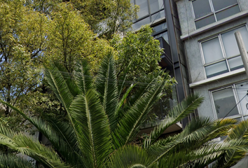 Departamento en  Obrera, Cuauhtémoc, Cdmx