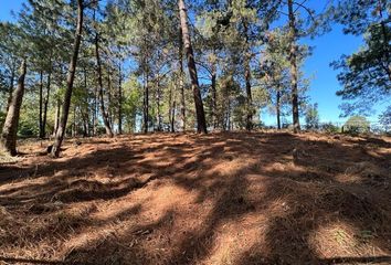 Lote de Terreno en  Avándaro, Valle De Bravo