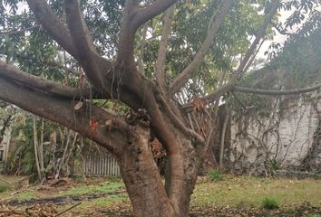 Lote de Terreno en  Vista Hermosa, Cuernavaca, Morelos