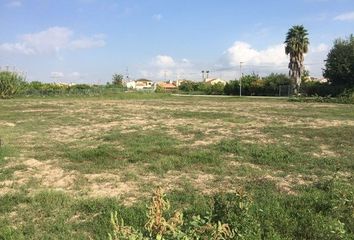 Terreno en  Santa Maria De Gracia, Murcia