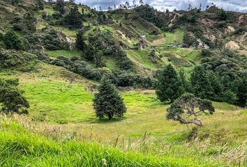 Terreno Comercial en  Loja