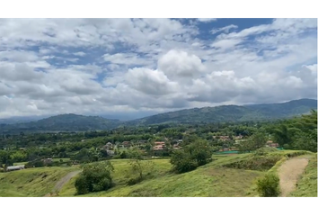 Lote de Terreno en  Palestina, Caldas