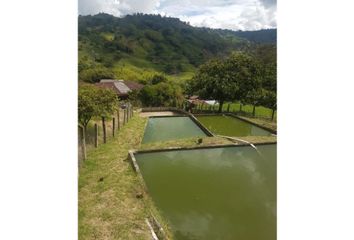 Villa-Quinta en  Chinchiná, Caldas