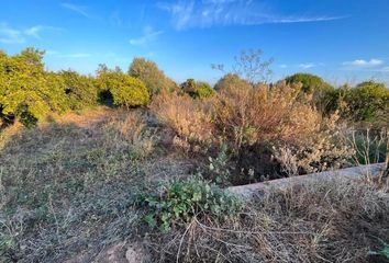 Terreno en  Castellón/castelló, Castellón Provincia