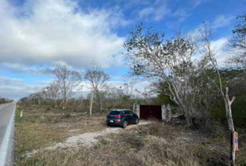 Lote de Terreno en  Celestún, Yucatán