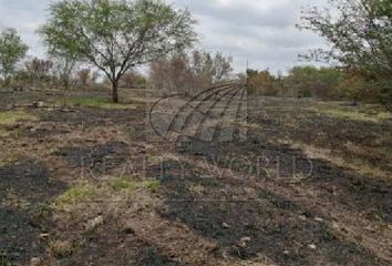 Lote de Terreno en  Montemorelos Centro, Montemorelos