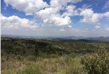 Lote de Terreno en  Calpulalpan Centro, Calpulalpan