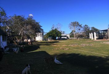 Rancho en  Yalsihón, Yucatán, México