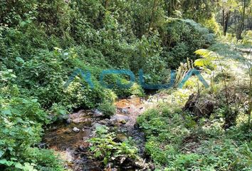 Lote de Terreno en  Avándaro, Valle De Bravo