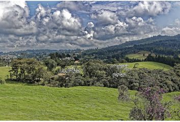 Finca/Hacienda en  Capira