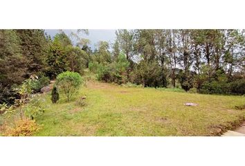 Lote de Terreno en  Guarne, Antioquia